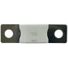 Victron DC MEGA - pojistka 100A/80V