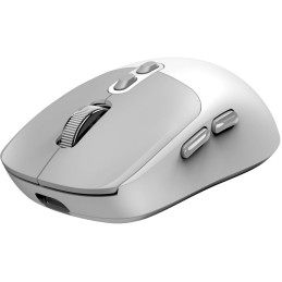 GENIUS NX-8080S BT Grey White/ duální Bluetooth + 2,4GHz/ 1600 dpi/ bezdrátová/ Copilot/ tichá/ 7tlačítková/ bílošedá