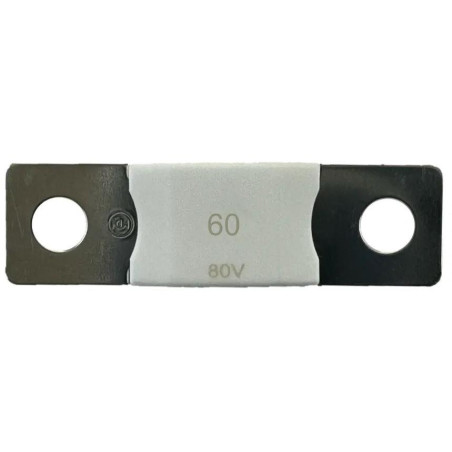 Victron DC MEGA - pojistka 60A/80V