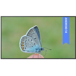 Panel BENQ 43" ST4304/ Digital Signage/ UHD 4K/ obsługa 18/7/ 2x HDMI/ DVI-D/ RJ45/ 2x USB/ Android