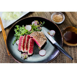 Kyocera Sada steakových nožů, 4 ks, černá rukojeť, bílá čepel