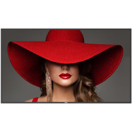 Philips IPS panel – 55" D-LED displej, UHD rozlišení, VA panel, jas 500 cd/m2, provoz 24/7, Android 11