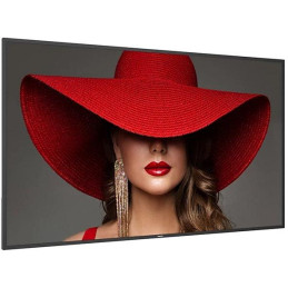 Philips IPS panel – 65" D-LED displej, UHD rozlišení, IPS panel, jas 500 cd/m2, provoz 24/7, Android 11