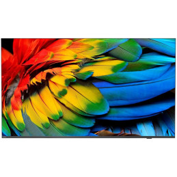 Philips HTV – 50"  Business TV televizor