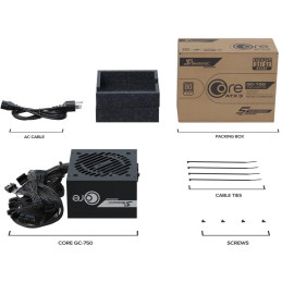 SEASONIC zdroj Core GC-750 / 750W / ATX3.1 / 120mm fan / 80PLUS Gold