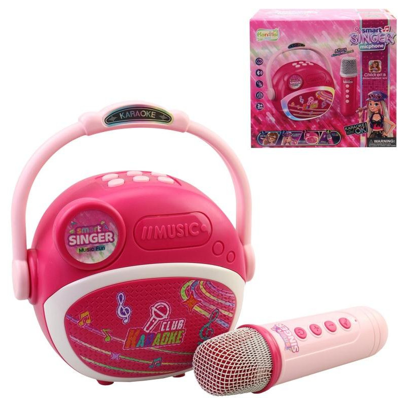 Mikrofon na baterie, 19 x 8,5 x 16cm