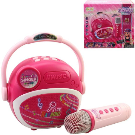 Mikrofon na baterie, 19 x 8,5 x 16cm