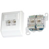 XtendLan 2x RJ-45-Buchse, Cat5e, ungeschirmt, Wandmontage, abgewinkelte Steckdose, Push-in LSA
