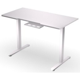 Endorfy herní stůl Atlas S electric Onyx White / 114x60cm / nosnost 50kg / el. nastavení výšky (72-118cm) / bílý