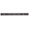 DELL APC Basic Rack PDU Zero U - Stromverteilerleiste