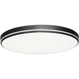 OPRAVENÉ - IMMAX NEO LITE AREAS SMART stropní svítidlo 51cm, 48W černé TUYA Wi-Fi