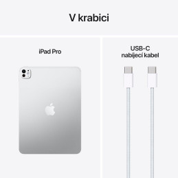 Apple iPad Pro 11" (2025) / 1TB / M5 / WiFi / sklo s nanotexturou / Stříbrný