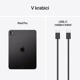 Apple iPad Pro 11" (2025) / 1TB / M5 / WiFi + Cellular / sklo s nanotexturou / Vesmírně černý