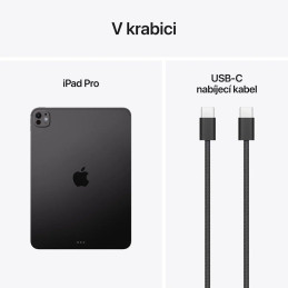 Apple iPad Pro 11" (2025) / 2TB / M5 / WiFi / sklo s nanotexturou / Vesmírně černý