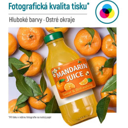 COLORWAY samolepící matný papír 88g/m2/(8 štítků na archu) 105x74.25mm / A4/ 100 kusů