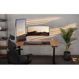 Endorfy držák monitorů Atlas GS Double / 2 monitory max. 10kg a 32" / pivot / VESA / plynová pružina