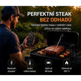 HELMER chytrý bezdrátový kuchyňský teploměr s jednou sondou TM 27/ LCD displej/ –10 až 100 °C/ Bluetooth/ černý