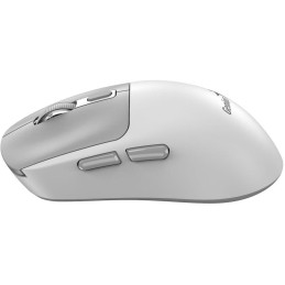 GENIUS NX-8260S BT White/ 2400 dpi/ bezdrátová/ duální BT+2,4GHz/ tichá/ rychlé nabíjení/ ultralehká/ Copilot/ bílošedá