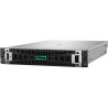 HPE PL DL380g12 6507P (3.5/8C) 2x32G (P69727) 2x480G MR408i-o 8SFF 2x1000W 10GbE NBD333