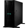 HPE PL ML350g11 5515+ (3.2G/8C) 2x32G (P64706)  2x480G SSD MR408i-o/4G 2x1000W 8-24SFF 4p1G