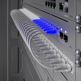 Ubiquiti UniFi Etherlighting Patch Cable 0.3m - Patch kabel, Cat6, Etherlighting, délka 0,3m