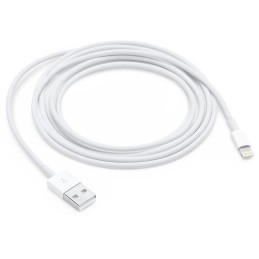 Apple Lightning to USB Cable (2m)