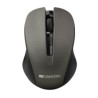 CANYON myš optická bezdrátová CMSW1, nastavitelné rozlišení 800/1000/1200 dpi, 4 tl, USB nano reciever, šedá