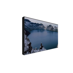 Prestigio Indoor DS LCD 55'' FHD 1920*1080, D-LED, 500cd/m2, HDMI, VGA, DP, DVI, USB 2.0, RS232