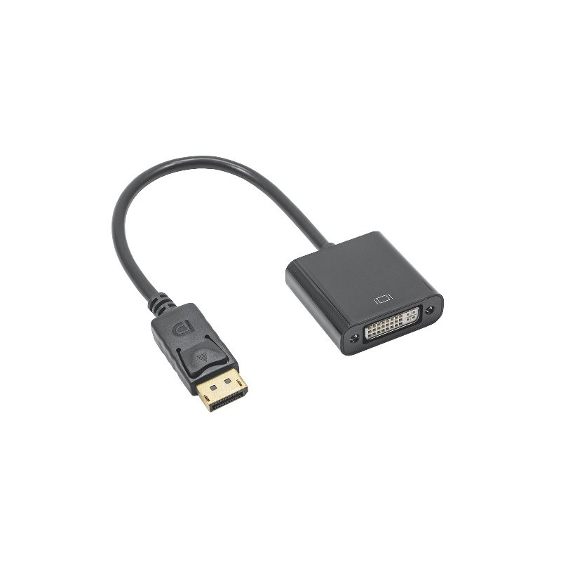 Akyga konventor DVI-F/Displayport-M/ABS/20cm