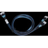 ARECA int. SlimlineSAS x8 SFF-8654 straight to 2x SlimlineSAS x4 SFF-8654, 1m