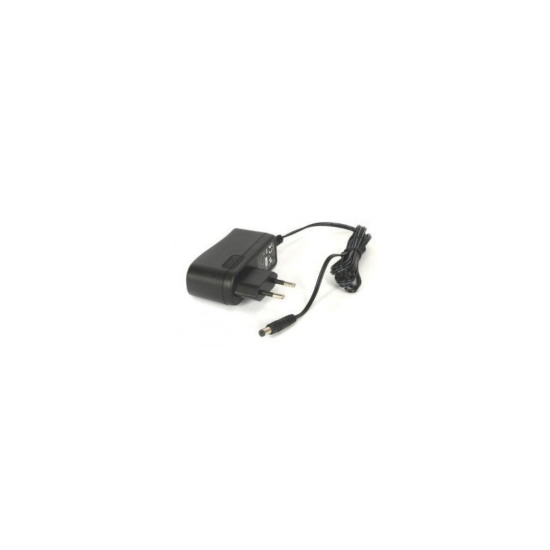 12VDC/1.0A