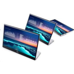 Dell 14 Portable Monitor - P1424H - 35.6cm (14'')