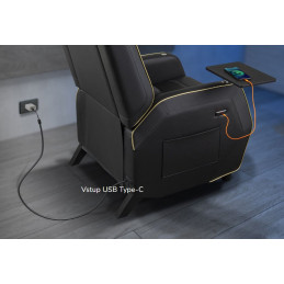 COUGAR herní křeslo RANGER PRO ROYAL - černá/zlatá, USB-C, otočný stolek, boční kapsa