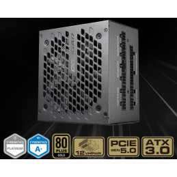 COUGAR PC zdroj GEX X2 1000W 80+ Gold, Fully modular (PCI-e 5.0 GPU 12+4 Pin)