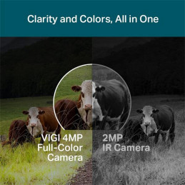 4MP 4G LTE Full-Color Wi-Fi Pan/Tilt Network Camera SPEC: 4G Cat4 150/50 Mbps, LTE-FDD/LTE-TDD/HSPA+/UMTS, H.265+/H.265/