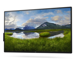 Dell 55 4K Conference Room Monitor - P5525QC