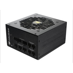 COUGAR PC zdroj GEX 650W 80+ Gold, Fully modular
