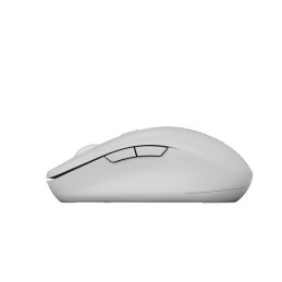 CANYON mouse MW-12 Dual band Wireless Dark grey