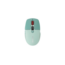 CANYON mouse MW-26 LCD Silent Dual Mode Wireless Green