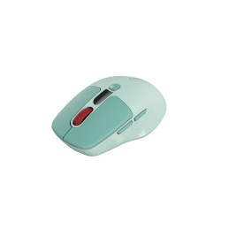 CANYON mouse MW-26 LCD Silent Dual Mode Wireless Green