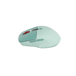 CANYON mouse MW-26 LCD Silent Dual Mode Wireless Green