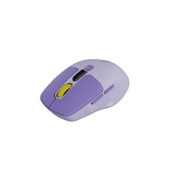 CANYON mouse MW-26 LCD Silent Dual Mode Wireless Violet