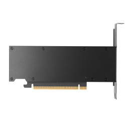 GPU PNY NVIDIA RTX PRO 2000 Blackwell 16GB OEM Version