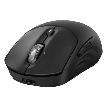 HP 705 Rechargeable Wireless Mouse