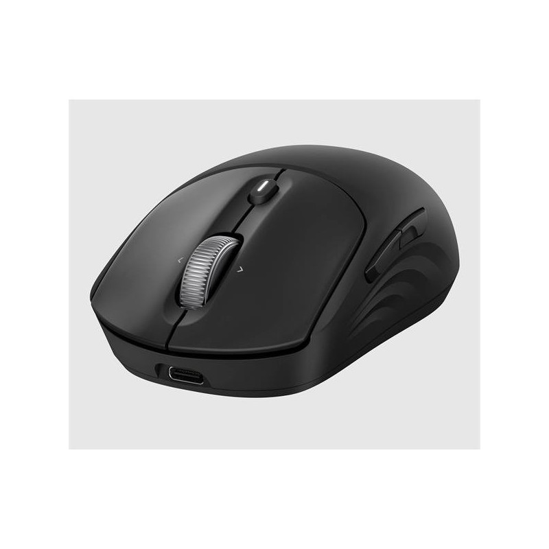HP 705 Rechargeable Wireless Mouse