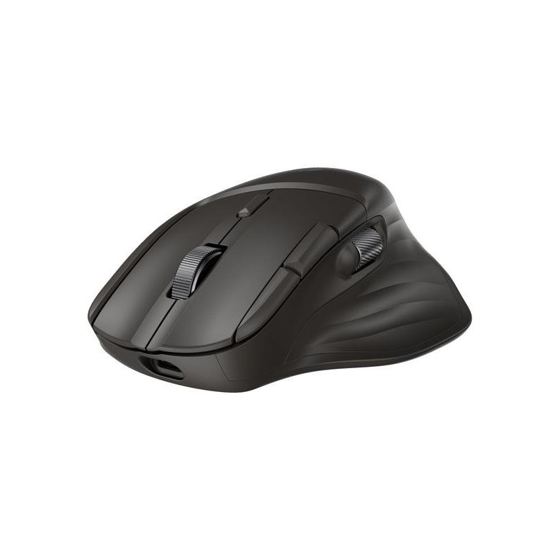 HP Ultra-Fast Scroll Wireless Mouse 785M