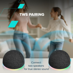 CANYON Magnetic BT speaker OnMove 13 5W Black