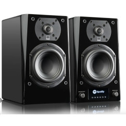 SVS PRIME WIRELESS Pro Powered Speaker PGB