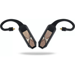 iFi Go pod
