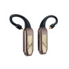 iFi Go pod Max